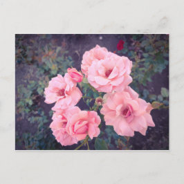 Vintage coral rose bouquet postkarte