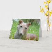 Vintage Corgi Karte (Gelbe Blume)