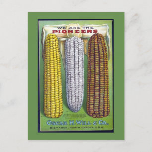 Vintage Corn Seed Packet Postcard Postkarte