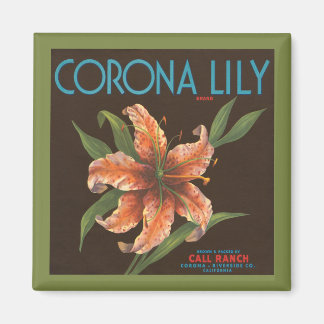 Vintage Corona Lily Marken Magnet