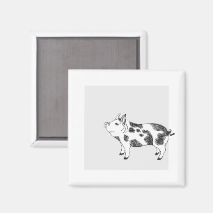 Vintage Cottagecore-Schwein LineArt Minimalist Mus Magnet