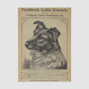 Vintage Cover Fordhook Farm Collie Kennels Seidenpapier