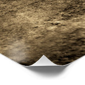 Vintage Crocodile Poster (Ecke)