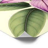 Vintage Crocus on Weathered Paper Poster (Ecke)