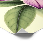 Vintage Crocus on Weathered Paper Poster (Ecke)