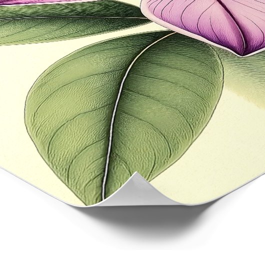 Vintage Crocus on Weathered Paper Poster (Ecke)