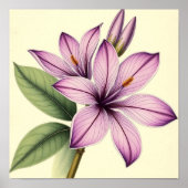 Vintage Crocus on Weathered Paper Poster (Vorne)