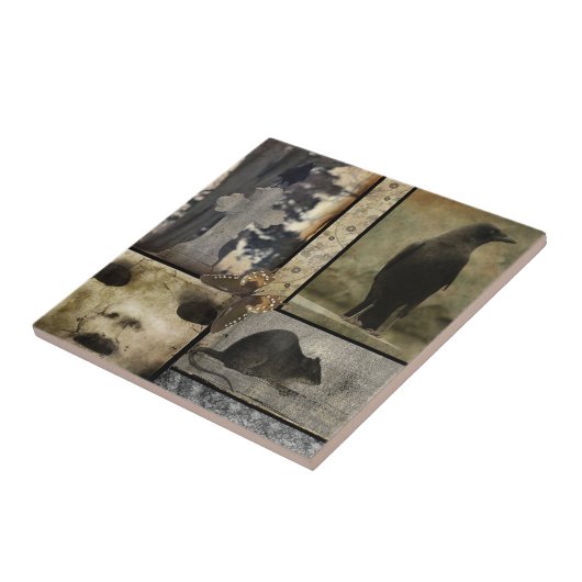 Vintage Crow Oddities Fliese (Seite)