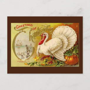 Vintage-D Thanksgiving Truthahn Postkarte