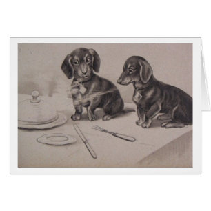 Vintage - Dachshunde schnüffeln ein Essen aus,