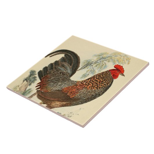 Vintage Dachziegel Keramik Fliese (Seite)