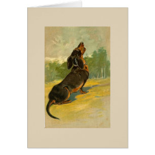 Vintage - Dackel heult