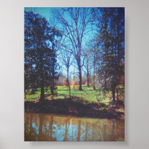 Vintage Daffodil Lake Fotografie Poster