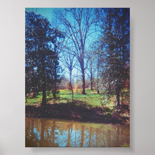 Vintage Daffodil Lake Fotografie Poster (Vorne)