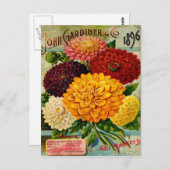 Vintage Dahlia-Blume Postkarte (Vorne/Hinten)