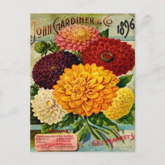 Vintage Dahlia-Blume Postkarte