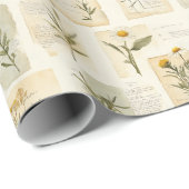 Vintage-Daisy-Herbarium-Collage  Geschenkpapier (Rolleneckpunkt)