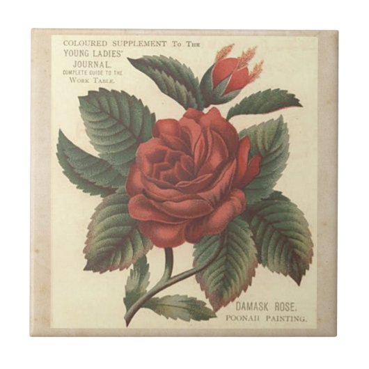 Vintage Damast-Rote Rose Fliese/Trivet Fliese (Vorderseite)