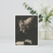 Vintage Dame mit Katze Postkarte Restauriert (Stehend Vorderseite)