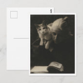 Vintage Dame mit Katze Postkarte Restauriert (Vorne/Hinten)