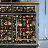 Vintage Dark Academia Moth and Mushroom Seidenpapier