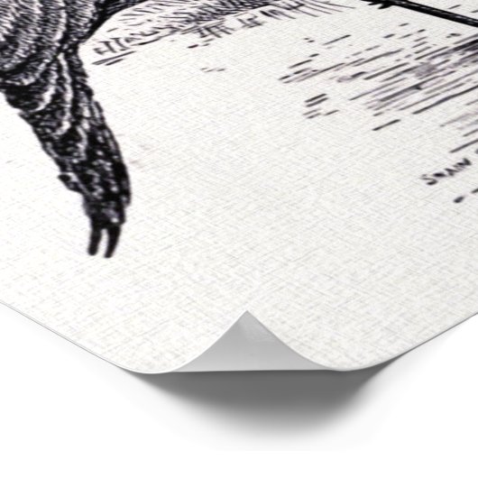 Vintage Darstellung "Demoiselle Crane" Poster (Ecke)