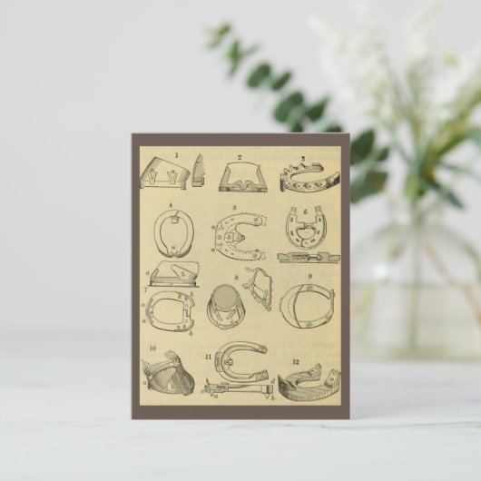 Vintage Darstellung der Hufarten Postkarte (Stehend Vorderseite)