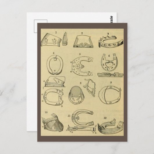 Vintage Darstellung der Hufarten Postkarte (Vorne/Hinten)