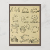 Vintage Darstellung der Hufarten Postkarte (Vorderseite)