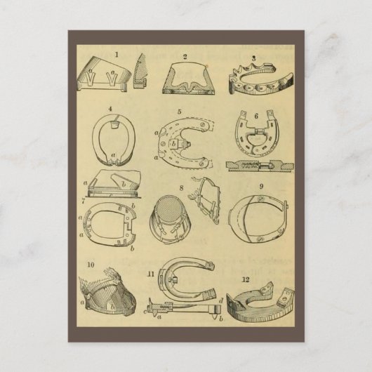 Vintage Darstellung der Hufarten Postkarte (Vorderseite)