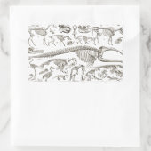 Vintage Darstellung der Knochen von Mensch und Tie Rechteckiger Aufkleber (Tasche)