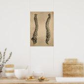 Vintage Darstellung der menschlichen Wirbelsäule d Poster (Küche)