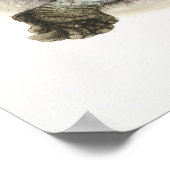 Vintage Darstellung der Schildkröten/Schildkröten Poster (Ecke)