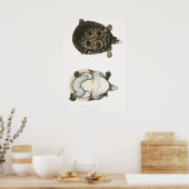 Vintage Darstellung der Schildkröten/Schildkröten Poster (Küche)