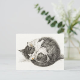 Vintage Darstellung der Schlafkatze Postkarte