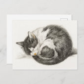 Vintage Darstellung der Schlafkatze Postkarte (Vorne/Hinten)