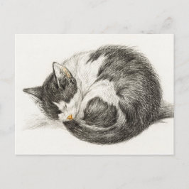 Vintage Darstellung der Schlafkatze Postkarte
