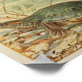 Vintage Darstellung der Tortoise Poster (Ecke)