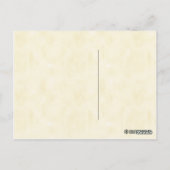 Vintage Darstellung des botanischen Buck Eye Tree Postkarte (Rückseite)