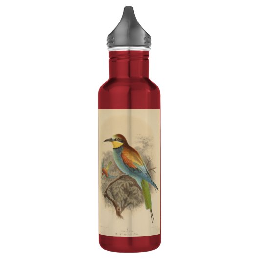 Vintage Darstellung des europäischen Bienenfresser Edelstahlflasche (Links)