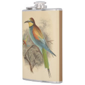 Vintage Darstellung des europäischen Bienenfresser Flachmann (Links)