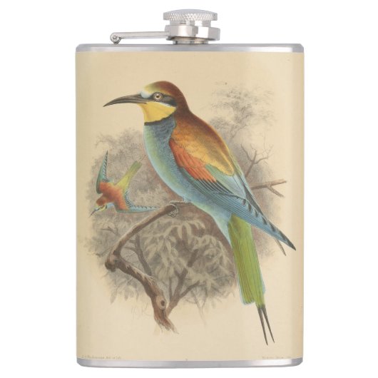 Vintage Darstellung des europäischen Bienenfresser Flachmann (Vorderseite)