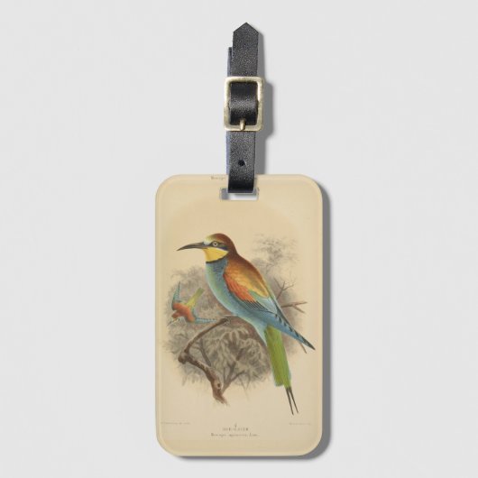Vintage Darstellung des europäischen Bienenfresser Gepäckanhänger (Vorderseite Vertikal)