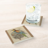 Vintage Darstellung des europäischen Bienenfresser Glasuntersetzer (Schrägansicht)