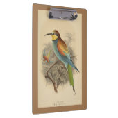 Vintage Darstellung des europäischen Bienenfresser Klemmbrett (Rechts)