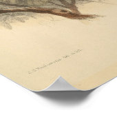 Vintage Darstellung des europäischen Bienenfresser Poster (Ecke)