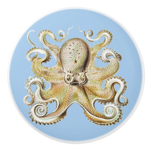 Vintage Darstellung des Meereslebens Octopus Keramikknauf (Vorderseite)
