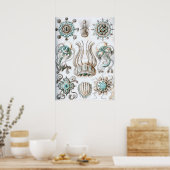 Vintage Darstellung des Meereslebens Poster (Küche)