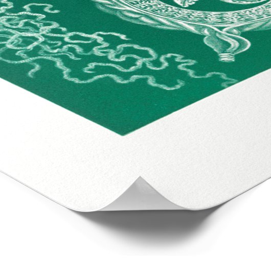 Vintage Darstellung des Meereslebens Poster (Ecke)