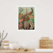 Vintage Darstellung des Meereslebens Poster (Küche)